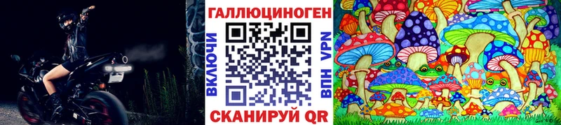 Псилоцибиновые грибы Psilocybine cubensis  Цивильск 
